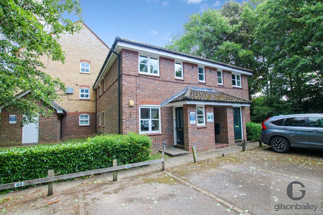 Thumbnail Flat to rent in Horsford Street, Norwich