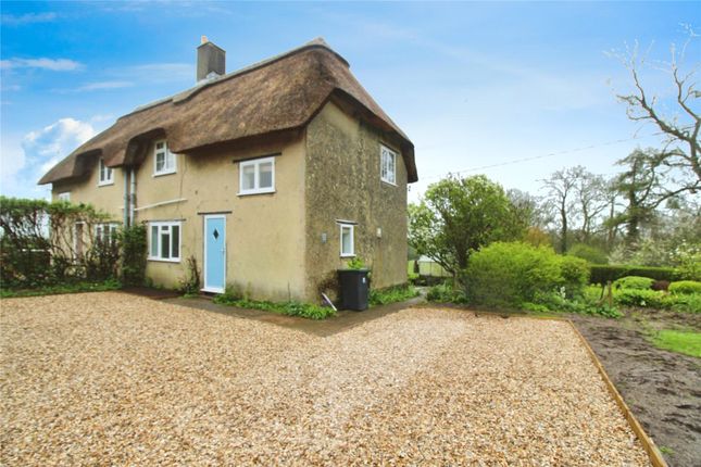 Semi-detached house to rent in Sandford Orcas, Sherborne