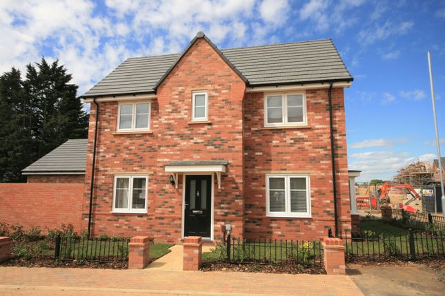 Thumbnail Detached house to rent in Red Kite Drive, Wootton, Northampton