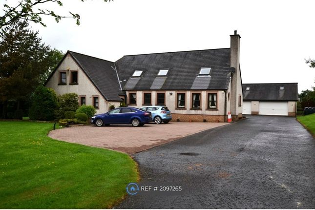 Thumbnail Detached house to rent in Dovesdale House, Stonehouse, Larkhall