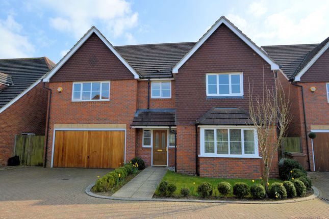 Thumbnail Detached house to rent in Deardon Way, Shinfield, Reading