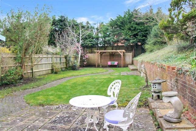 Camellia Cottage, High Street, Shirrell Heath photo 3