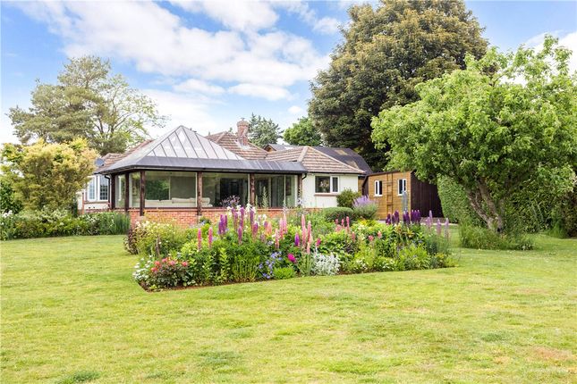 Thumbnail Bungalow to rent in The Thicket, Leckhampstead, Newbury, Berkshire