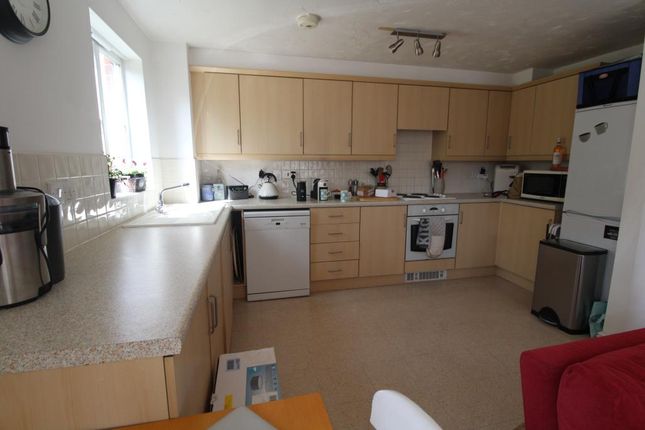 Jubilee Green, Cambridge, Papworth Everard photo 4