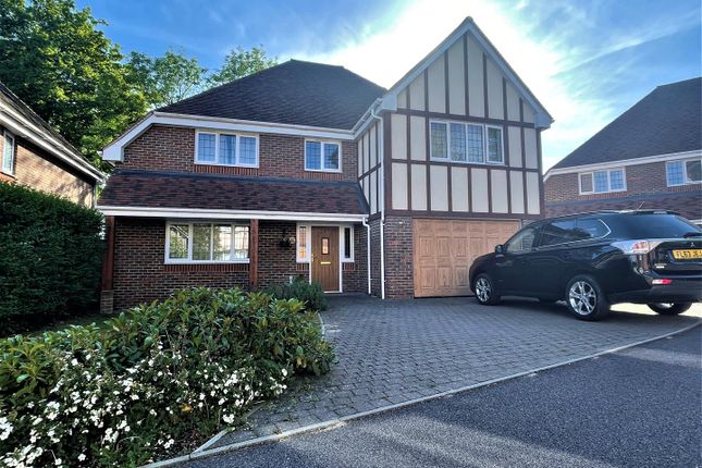 Thumbnail Detached house to rent in Campkin Gardens, St. Leonards-On-Sea