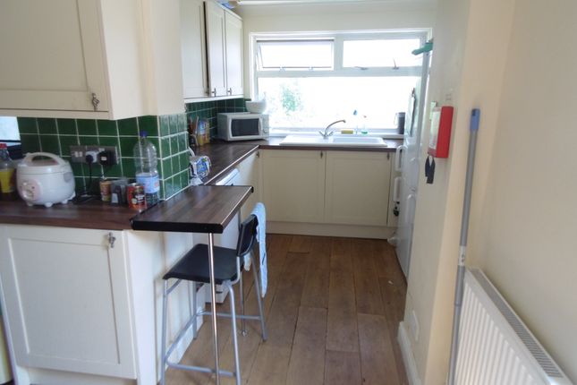 Thumbnail Property to rent in Plasnewydd Place, Roath, Cardiff