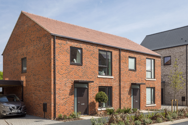 The Willow, Number 546