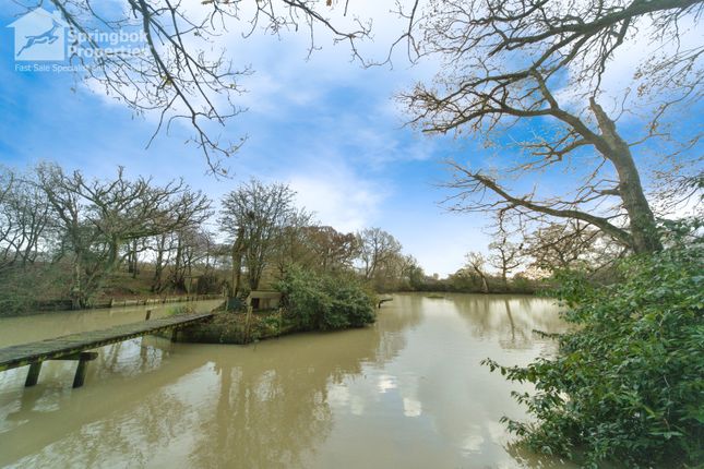 Country house for sale in Butcher's Lane, Guestling, Thorn, Hastings, East Sussex