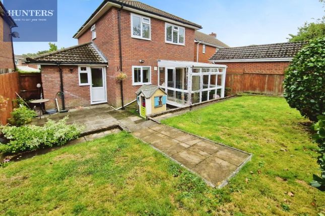 User_Edited_Photo-76333F79_User-Edited-F4F54B27-Ae