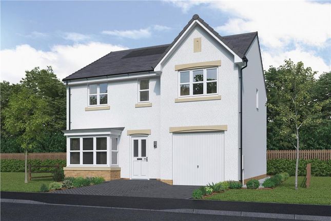 Thumbnail Detached house for sale in "Maplewood" at Main Road, Maddiston, Falkirk