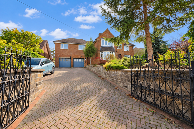 5 Bedroom Detached in S75 4HY
