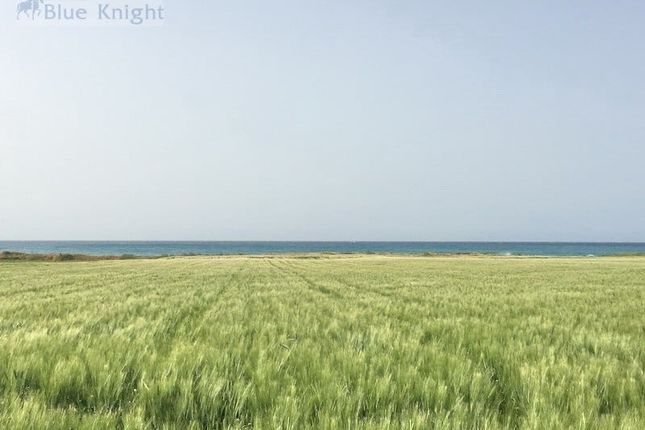 Land for sale in Poli Crysochous, Cyprus