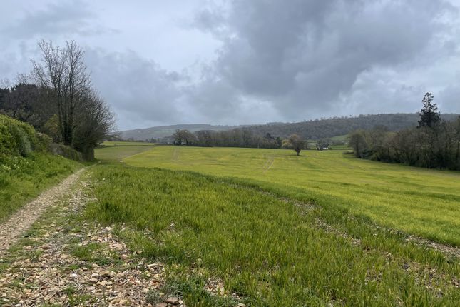 Land to let in Corfe, Taunton