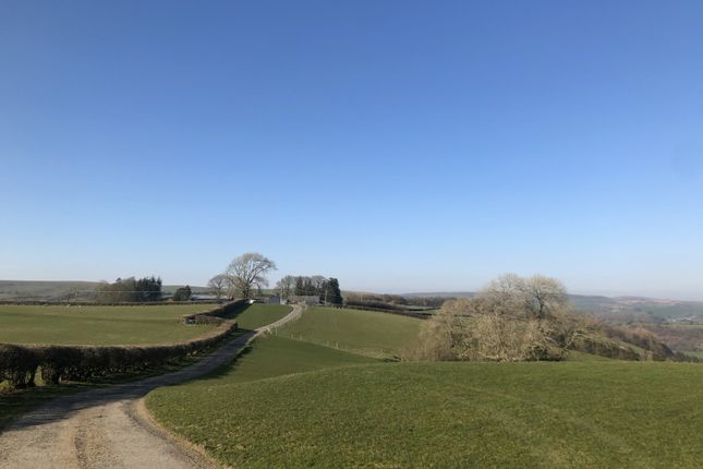 Highly Desirable Stock Farm In The Teme Valley