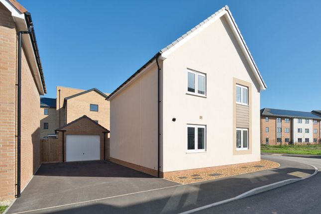 25, Criddle Avenue, Banwell photo 2