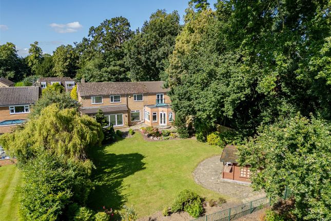 Thumbnail Detached house for sale in Grangeside, Darlington