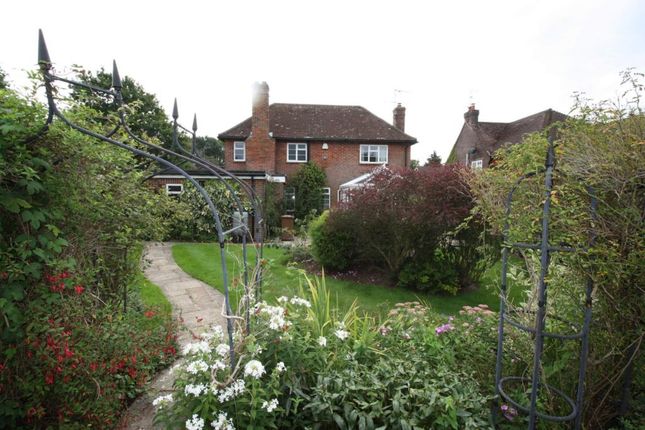 Detached house to rent in Mapledrakes, Ewhurst