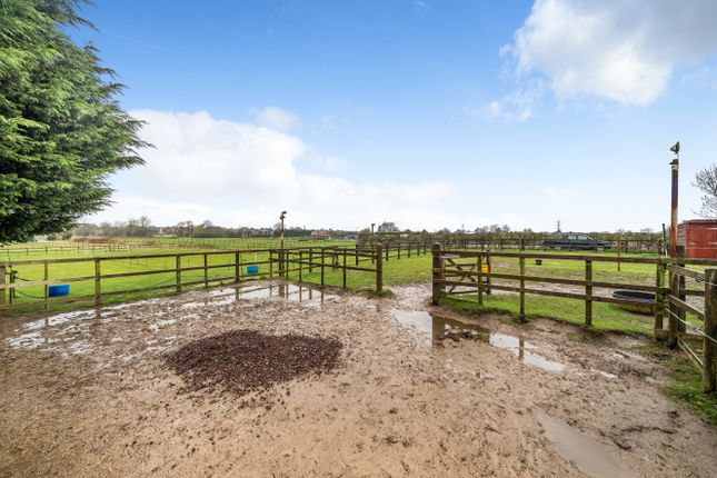 Equestrian property for sale in Asquith Avenue, Ealand, Scunthorpe