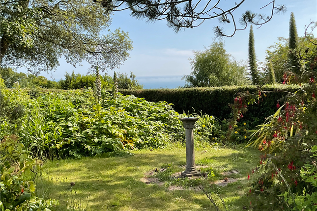 Bonchurch Shute Bonchurch, Ventnor photo 4