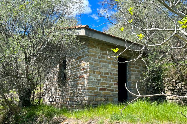 Detached house for sale in Strada Ponte Raggio- La Colla, Dolceacqua, Imperia, Liguria, Italy