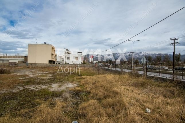 Property for sale in Neapoli, Magnesia, Greece