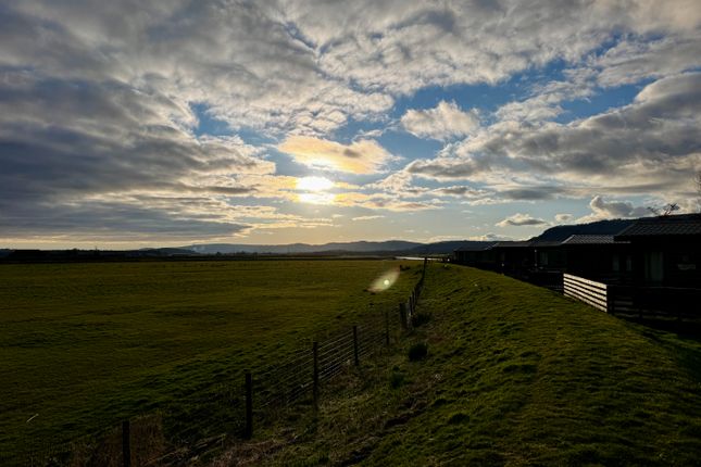 Willerby Linear at Lakesway Holiday Home & Lodge Park, Sampool Ln, Levens, Kendal photo 4