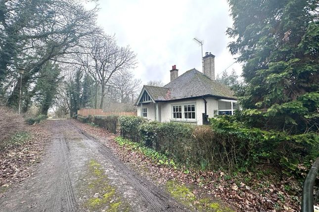 Thumbnail Bungalow to rent in Shenley Lane, London Colney, St. Albans