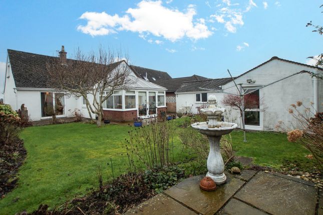 Rear Of The Property