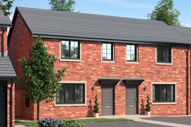 External CGI