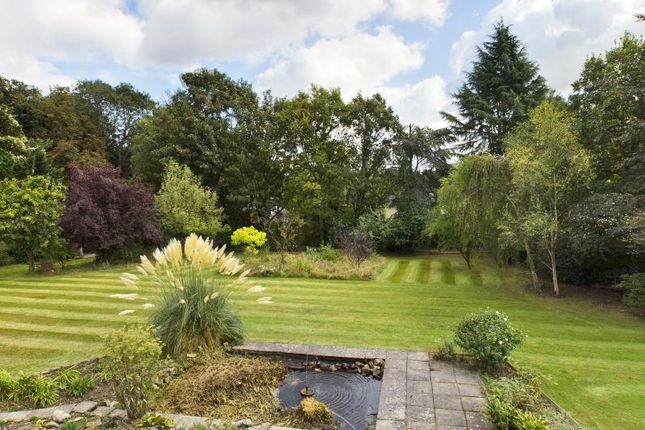 The Walled Garden, Dog Kennell Lane, Rickmansworth photo 5