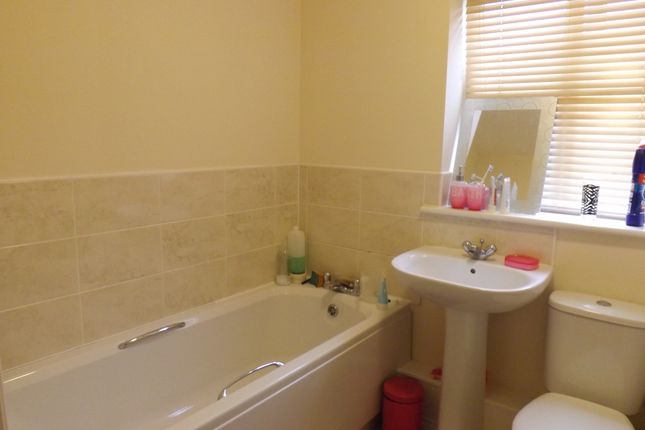 45, Sheffield photo 3