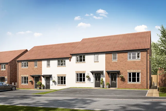 Together Homes - The Woodlands