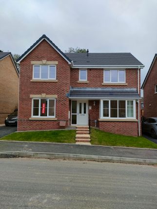 Thumbnail Detached house for sale in The Newton Sp Hawtin Meadows, Pontllanfraith, Blackwood, Caerphilly