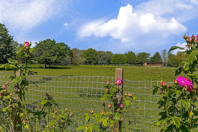 Cottage for sale in Rye Road, Brookland, Romney Marsh, Kent