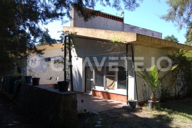 Thumbnail Detached house for sale in Tramagal, Abrantes, Santarém