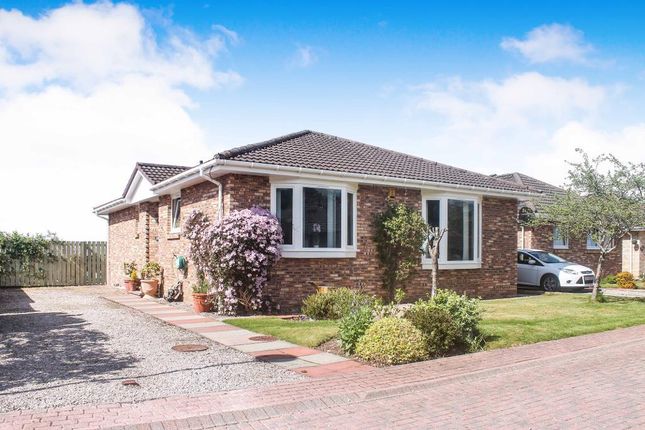 Homes for sale in culloden buy property in culloden primelocation 8 alltan place culloden