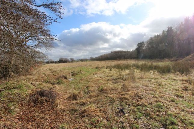 Land for sale in East Whitburn, Bathgate