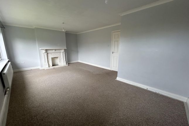 Hazel Grove, Louth photo 5