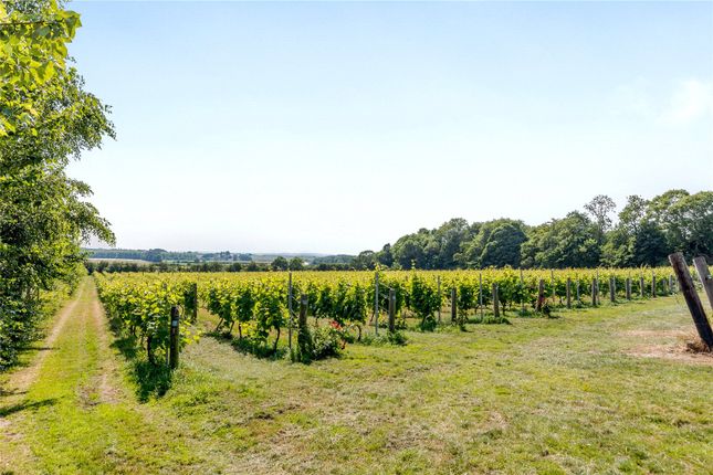 Land for sale in Somerby Vineyard &amp; Winery, Somerby, Barnetby, Lincolnshire