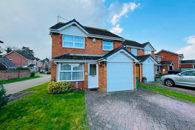 Detached house to rent in The Larches, Faversham ME13