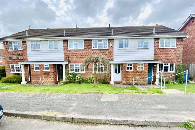 Thumbnail Terraced house to rent in Springfield Avenue, Hartley Wintney, Hook