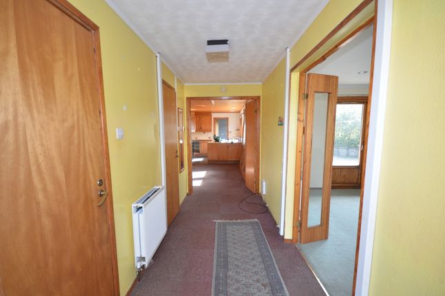 Glenydd, LLangwyrfon photo 2