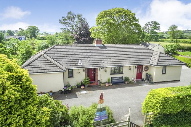 Thumbnail Bungalow for sale in Four Crosses, Llanymynech, Powys