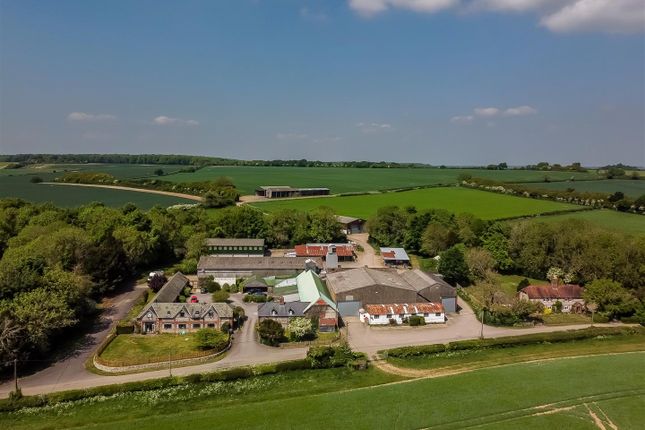 The Farm
