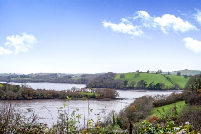 Thumbnail Flat for sale in Dart View, Higher St, Dittisham, Dartmouth