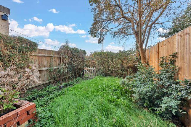 37 Field Terrace Road, Newmarket photo 4
