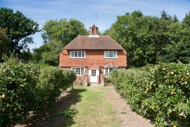 Detached house for sale in Combe Lane, Chiddingfold, Godalming, Surrey