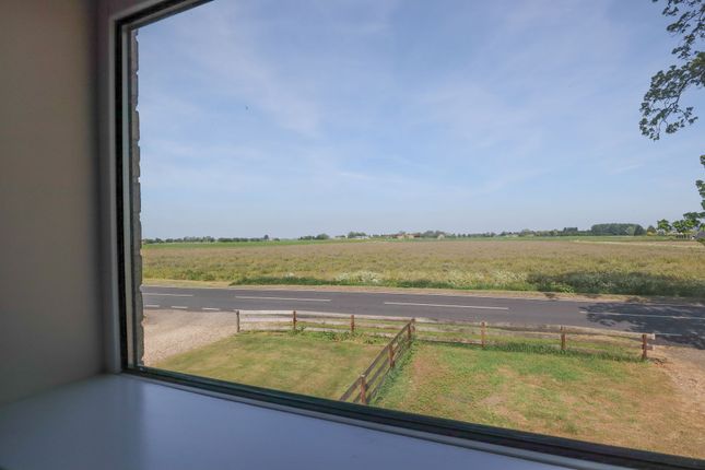 Countryside Views
