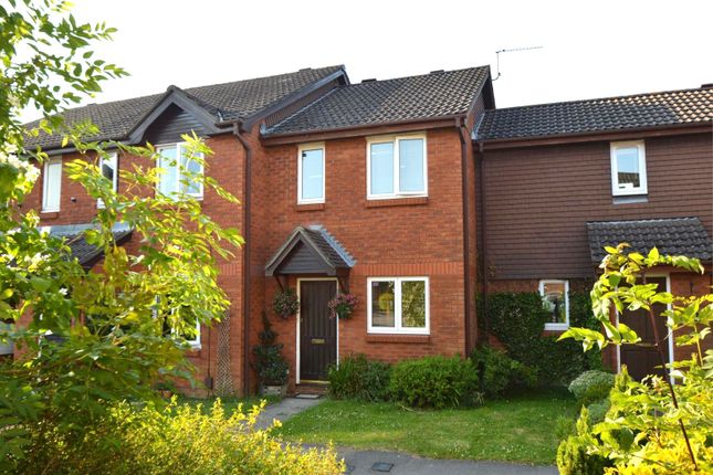 Terraced house to rent in Dukes Close, Petersfield