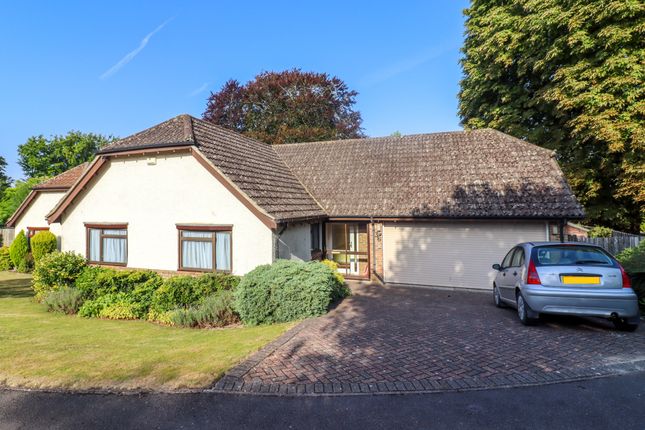 Homes for Sale in Alresford, Hampshire - Buy Property in Alresford ...
